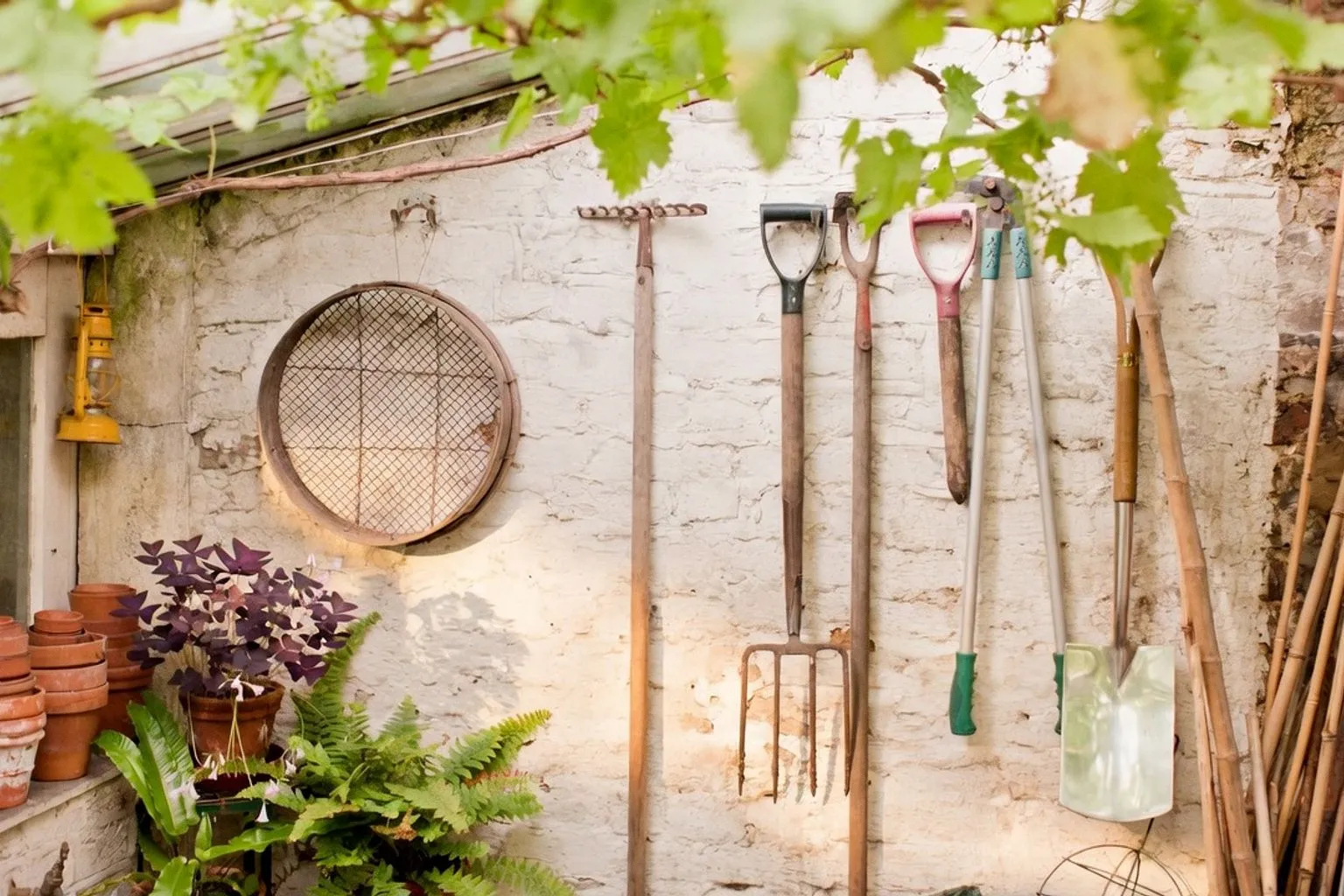 12 idées d'aménagement paysager pour un jardin économe en eau