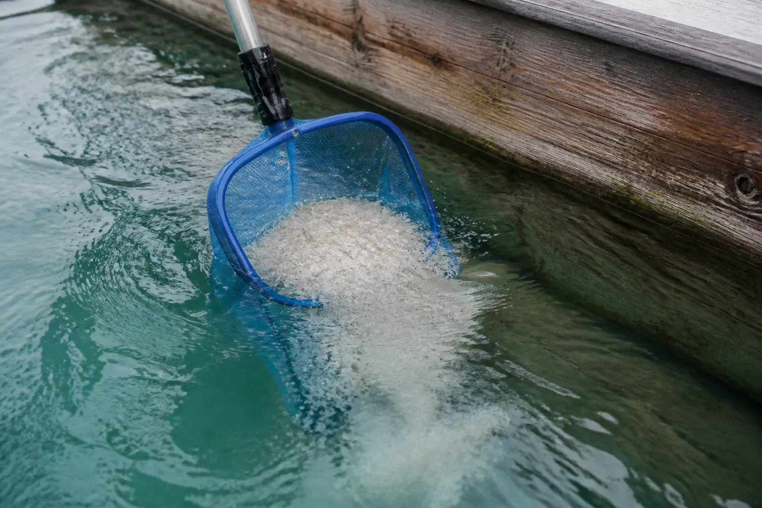 Eau verte ou trouble : deux méthodes pour assainir votre bassin
