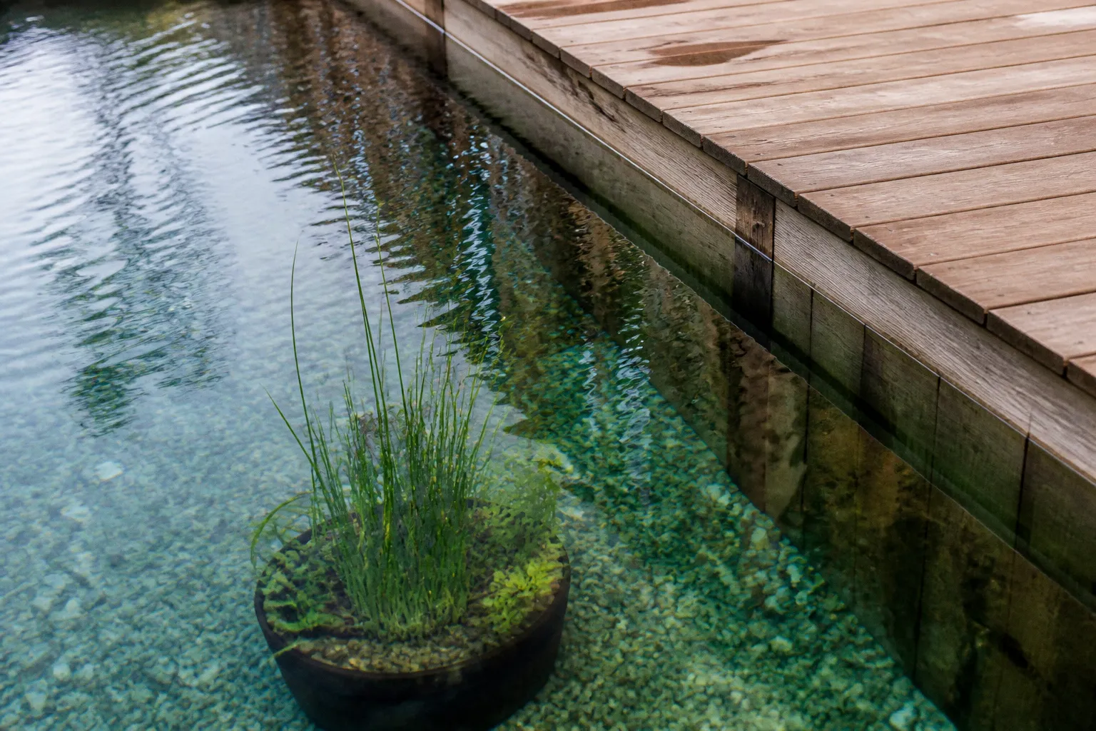 Filtration biologique piscine bois : la checklist de depart