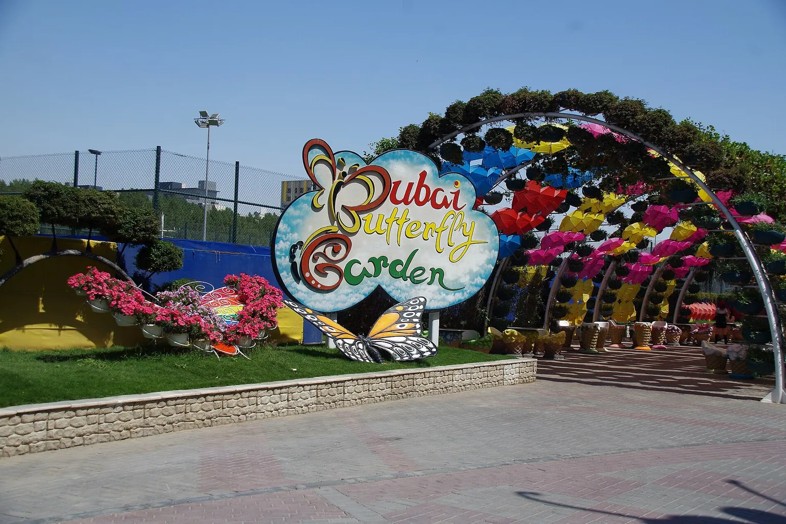 Jardin des papillons de Dubaï : horaires et meilleur créneau