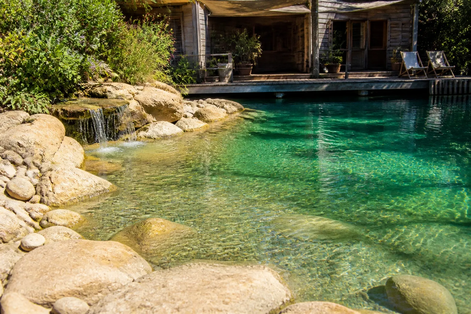 Piscines naturelles : comment intégrer l'esprit sauvage à votre projet de bassin en bois