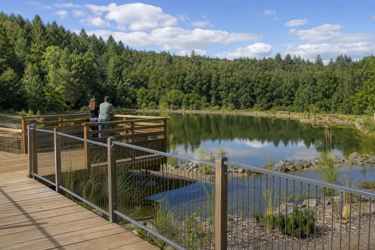 Piscines naturelles en bois massif : concevoir une baignade écologique sans liner