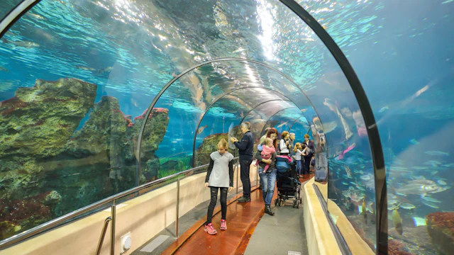 Aquarium de Barcelone