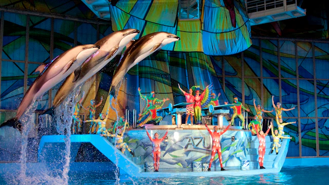 SeaWorld San Antonio