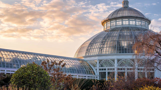 Jardin botanique de New York