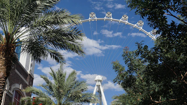 High Roller