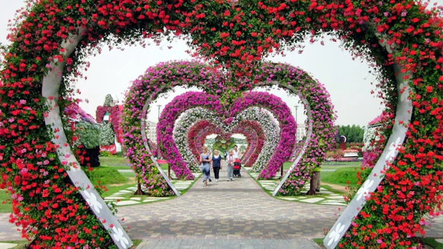 Jardin des papillons de Dubaï