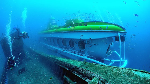 Submarine Safaris