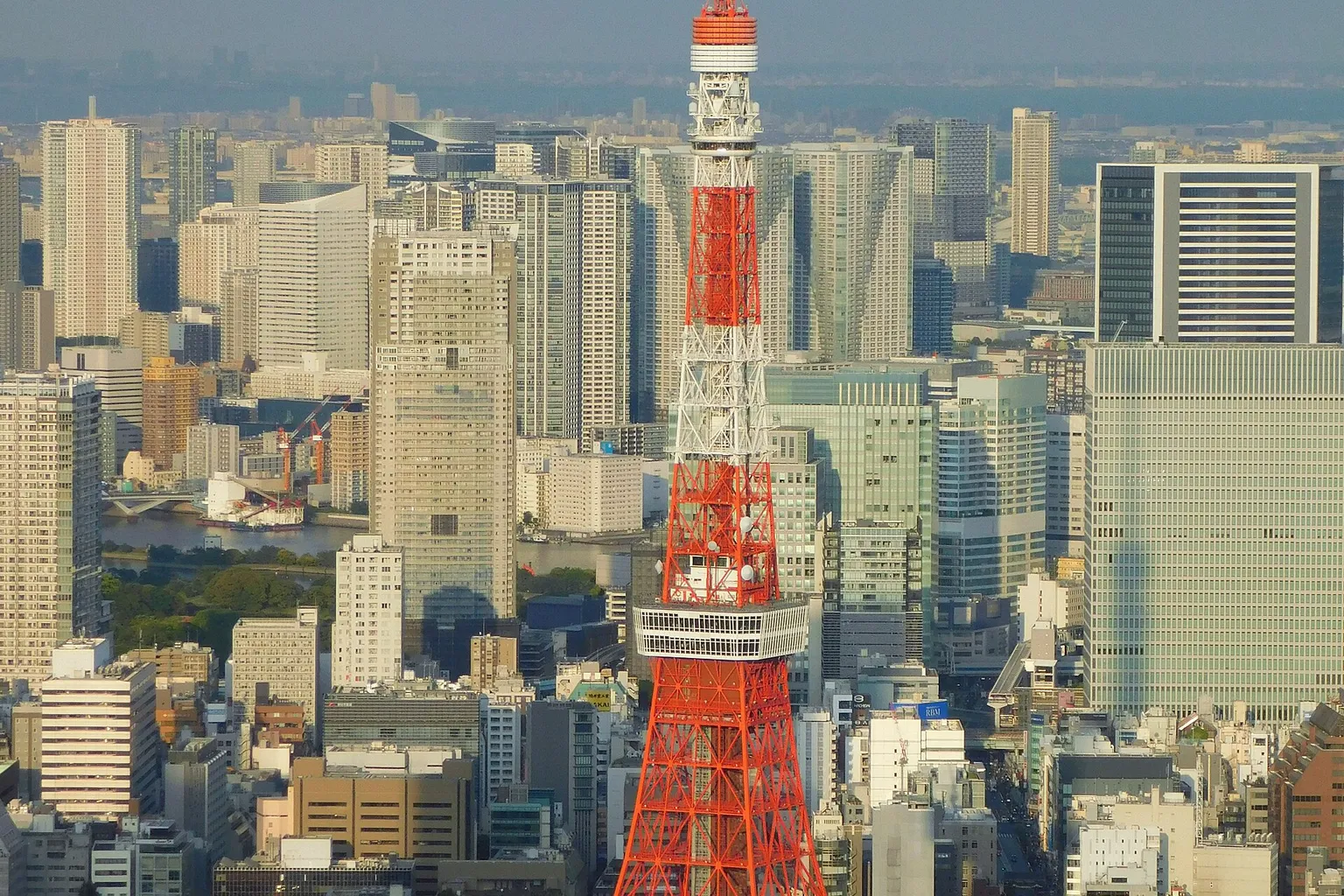 Tour de Tokyo : faut-il réserver en ligne ou sur place ?