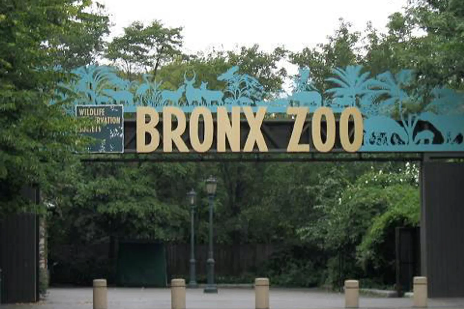 Zoo du Bronx visite : itinéraire conseillé et étapes clés